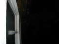 photo No. 12