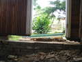 photo No. 5