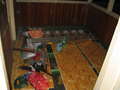 photo No. 9