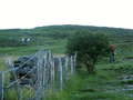 photo No. 1