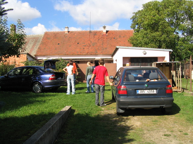 26