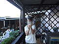 photo No. 40